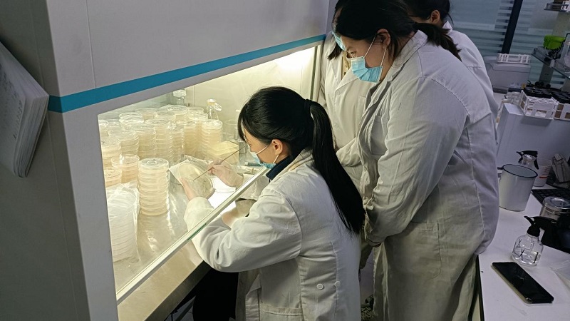 微生物檢測濾膜法操作規程是怎么樣的？