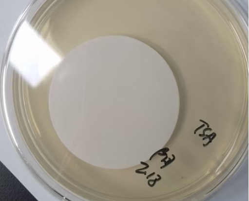 在日常微生物限度檢查中，應該做幾個稀釋級
