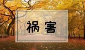 手機(jī)號(hào)碼尾號(hào)能評(píng)分嗎？數(shù)字能量學(xué)