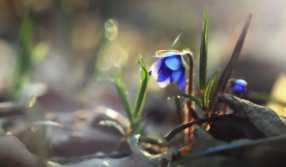 數(shù)字風(fēng)水揭秘：為何網(wǎng)絡(luò)免費(fèi)軟件測(cè)吉兇毫無實(shí)際意義？