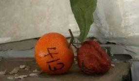 為什么別人創(chuàng)業(yè)能賺錢，而你卻虧得血本無(wú)歸？